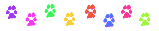 colorful-mini-paw-divider-brights.jpg