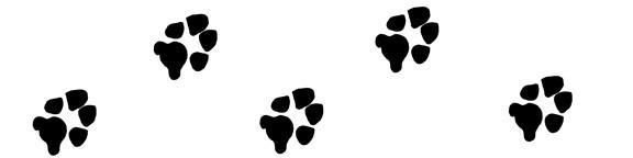 dog-paw-print-clip-art-bw-divider.jpg